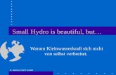 Small Hydro is beautiful, but…