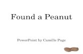 Found a Peanut PowerPoint by Camille Page