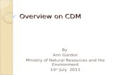 Overview on CDM