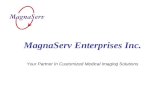 MagnaServ Enterprises Inc.