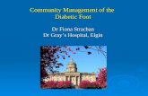Community Management of the  Diabetic Foot Dr Fiona Strachan Dr Gray’s Hospital, Elgin