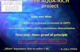 The AQUA-RICH project