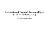 Institutional Animal Care and Use Committee (IACUC) General Information