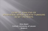 Genetic analysis  of  peripheral nerve sheath tumours in NF1  patients