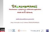 Transhumance: a platform for collaborative applications on  Mobile Ad-hoc NETworks