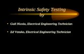 Intrinsic Safety Testing by