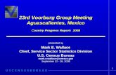 23rd Voorburg Group Meeting Aguascalientes, Mexico Country Progress Report:  2008