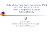 Rate-distortion Optimization for MP3 and AAC Audio Coding  with Complete Decoder Compatibility