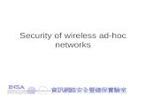 Security of wireless ad-hoc networks