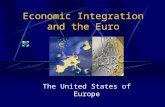 Economic Integration and the Euro