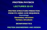PROTEIN PHYSICS LECTURES 22-23