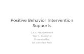 Positive Behavior Intervention Supports