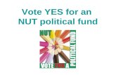 Vote YES for an  NUT political fund