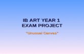 IB ART YEAR 1  EXAM PROJECT