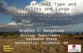 Effects of Soil Type and Fertility and Large Herbivores on East-African Savanna Small Mammals