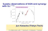 Suzaku observations of AGN and synergy with GLAST