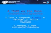 A  TIGRE  on the Moon  Timing Italian Gamma Ray Experiment
