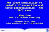 AM2 cloud sensitivity to details of convection and cloud paramerization – the GPCI case