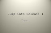 Jump into Release 1