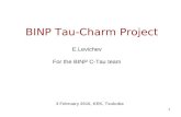 BINP Tau-Charm Project