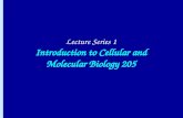 Lecture Series 1 Introduction to Cellular and Molecular Biology 205