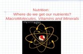 Nutrition:   Where do we get our nutrients? MacroMolecules, Vitamins and Minerals
