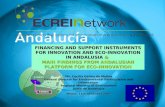 FINANCING AND SUPPORT INSTRUMENTS FOR INNOVATION AND ECO-INNOVATION IN ANDALUSIA  &