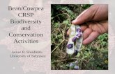 Bean/Cowpea CRSP Biodiversity and Conservation Activities