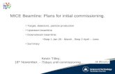 MICE Beamline: Plans for initial commissioning.