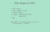 File Input in HiC