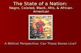 The State of a Nation:  Negro, Colored, Black, Afro, & African-American