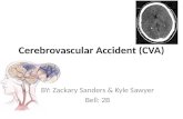 C erebrovascular  A ccident (CVA)