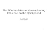 The BD circulation and wave forcing Influence on the QBO period