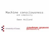 Machine consciousness and complexity
