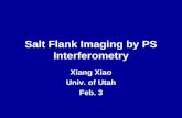 Salt Flank Imaging by PS Interferometry