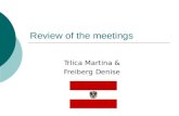 Review of the meetings
