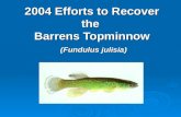 2004 Efforts to Recover the  Barrens Topminnow (Fundulus julisia)
