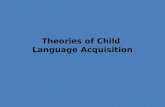 Theories of Child  Language Acquisition