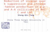 Sheng-Qin Feng China Three Gorges University (CTGU)