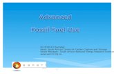 Advanced Fossil Fuel Use
