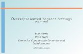 O verrepresented Segment Strings (Aug/8/2011)