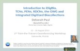 Introduction to iDigBio, TCNs ,  PENs,  RDCNs, the GWG and  Integrated Digitized Biocollections