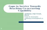 Gaps in Service Towards Reaching Co-occurring Capability