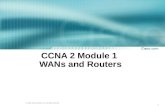 CCNA 2 Module 1  WANs and Routers