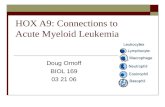 HOX A9: Connections to Acute Myeloid Leukemia
