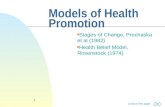 Models of Health Promotion