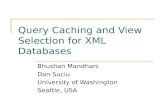 Query Caching and View Selection for XML Databases