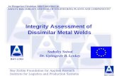 Integrity  Assessment of  Dissimilar Metal Weld s
