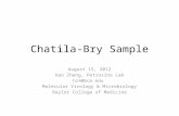 Chatila-Bry  Sample