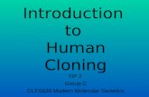 Introduction  to  Human Cloning
